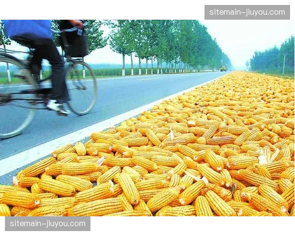 全链路票务动态库存分发 本季度全面取代固定配额模式